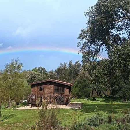 Quinta D' Luzarcoiris Villa Arganil Exteriör bild
