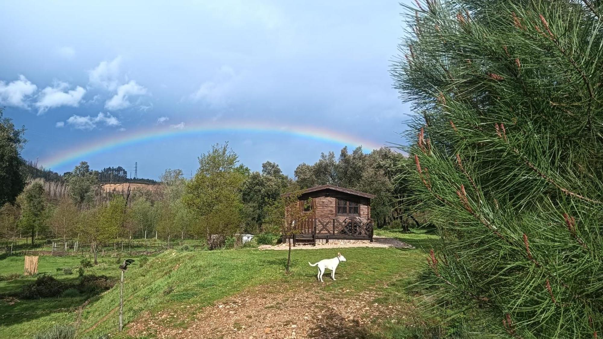 Quinta D' Luzarcoiris Villa Arganil Exteriör bild