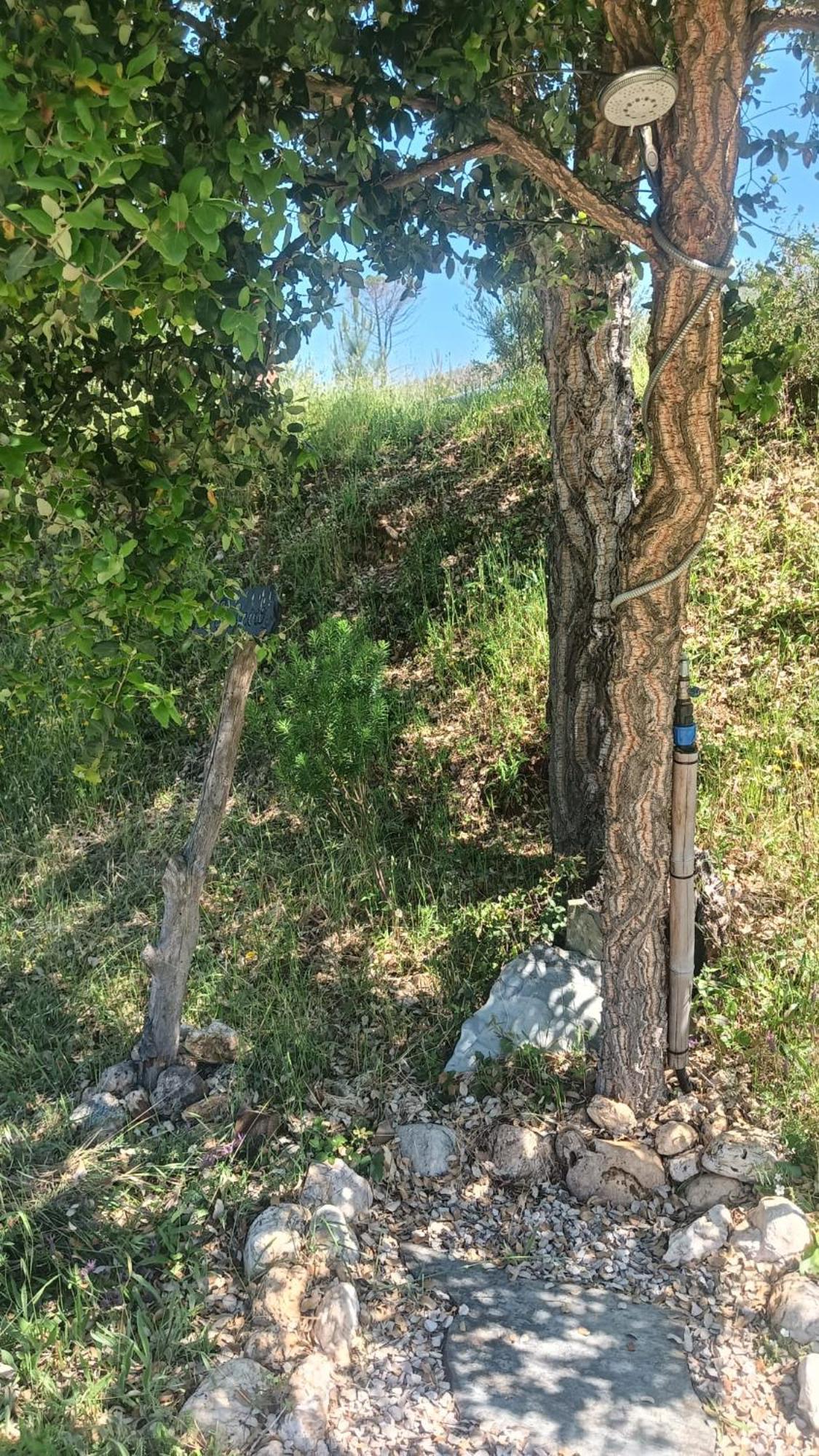 Quinta D' Luzarcoiris Villa Arganil Exteriör bild